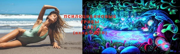 мяу мяу мука Армянск