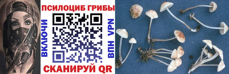 МЕГА маркетплейс  Малмыж  Псилоцибиновые грибы Magic Shrooms 